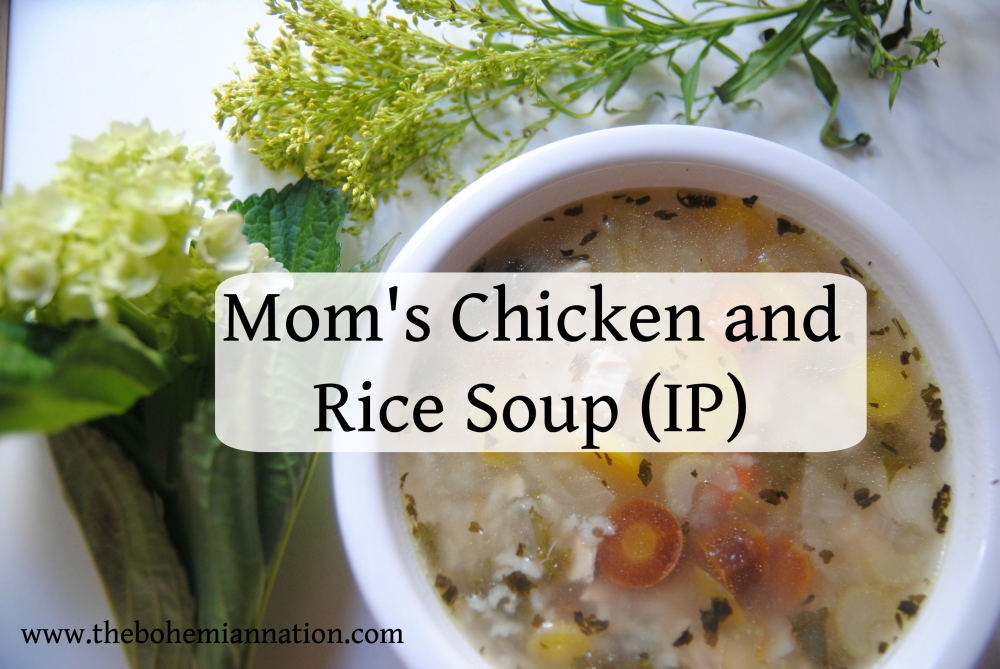 Bohemian Nation Chicken Rice Soup COVER.jpg